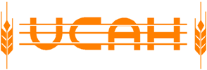 Cliente Nogara & Asociados